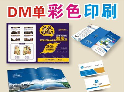 沧源单页印刷，色彩搭配简单。